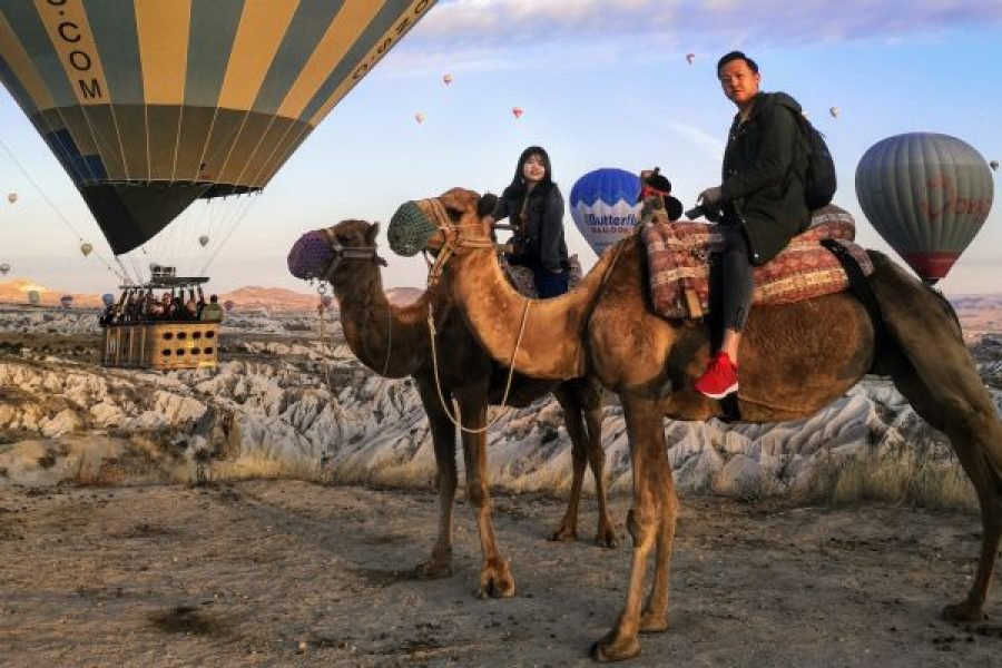 Camel Safari Tour